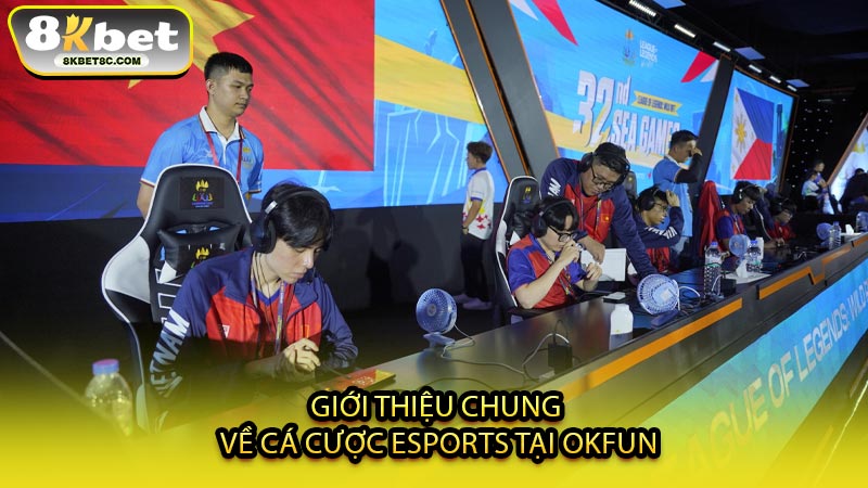 Giới Thiệu Chung Về Cá Cược Esports Tại OKFUN